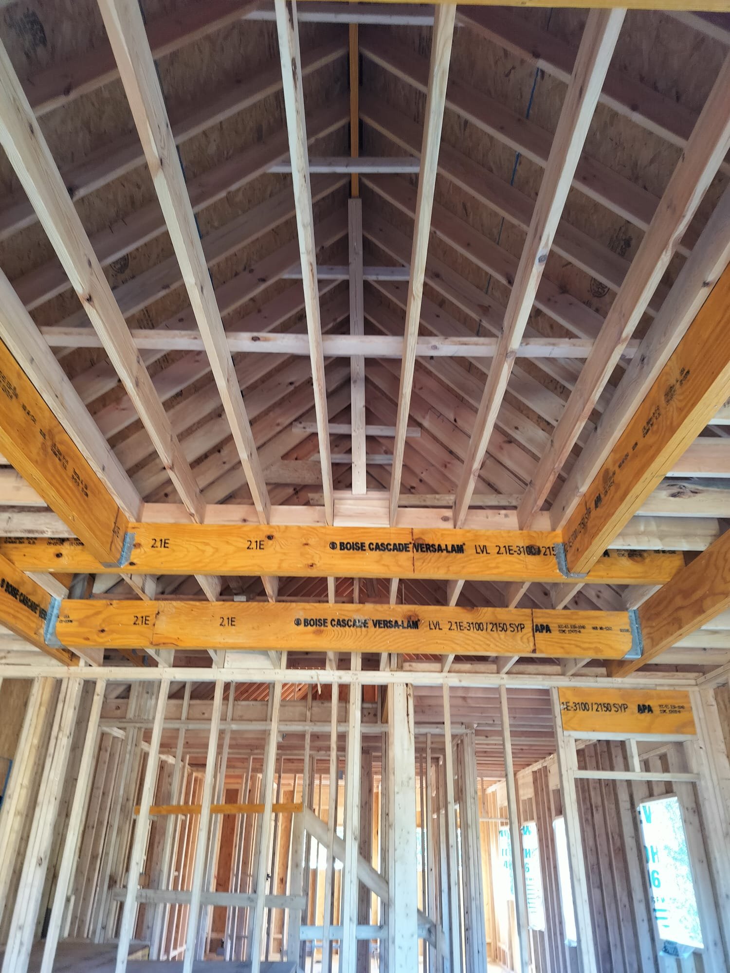 WhatsApp Image 2026 01 17 At 9.03.04 PM