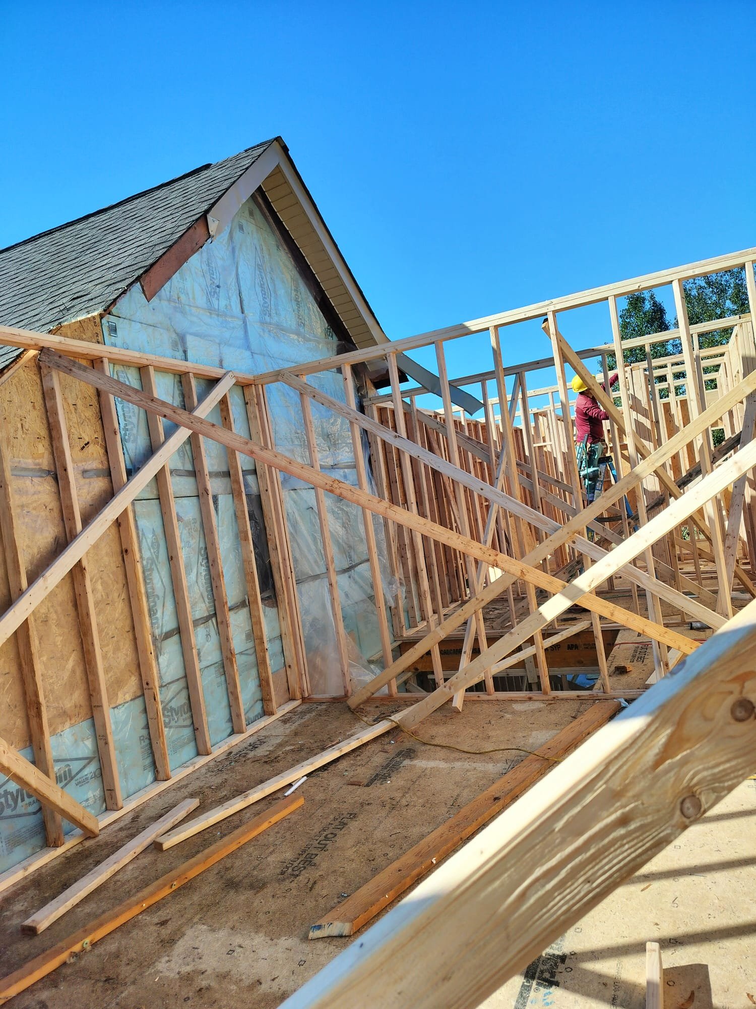 WhatsApp Image 2026 01 17 At 9.01.04 PM